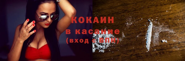 хмурый Абаза