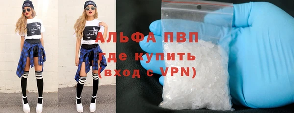 хмурый Абаза