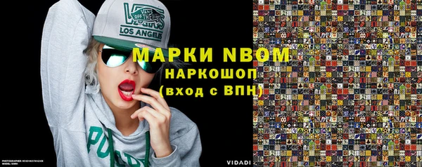 индика Михайловск
