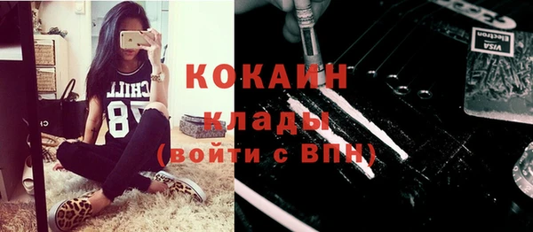 хмурый Абаза